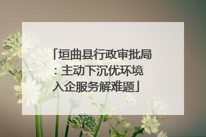 垣曲县行政审批局：主动下沉优环境 入企服务解难题