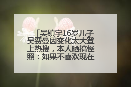 吴镇宇16岁儿子吴费曼因变化太大登上热搜，本人晒搞怪照：如果不喜欢现在的我可以离开