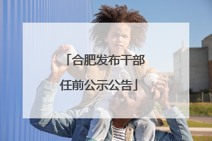 合肥发布干部任前公示公告