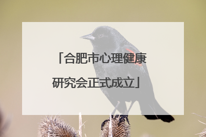 合肥市心理健康研究会正式成立