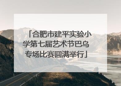 合肥市建平实验小学第七届艺术节巴乌专场比赛圆满举行