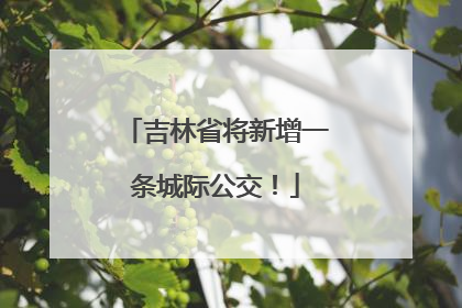吉林省将新增一条城际公交！