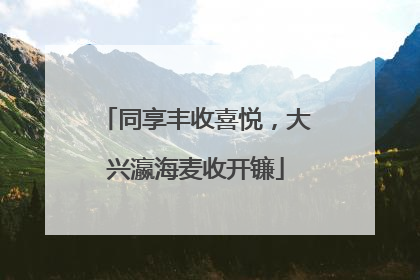 同享丰收喜悦，大兴瀛海麦收开镰