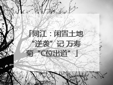 同江：闲置土地“逆袭”记 万寿菊“C位出道”