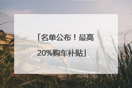 名单公布！最高20%购车补贴