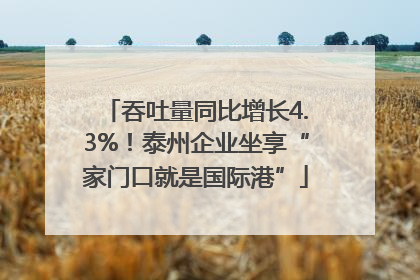 吞吐量同比增长4.3%！泰州企业坐享“家门口就是国际港”