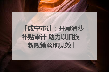 咸宁审计：开展消费补贴审计 助力以旧换新政策落地见效