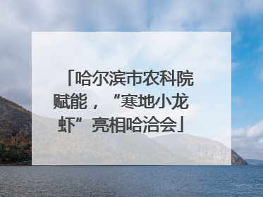 哈尔滨市农科院赋能，“寒地小龙虾”亮相哈洽会