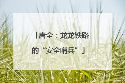 唐全：龙龙铁路的“安全哨兵”