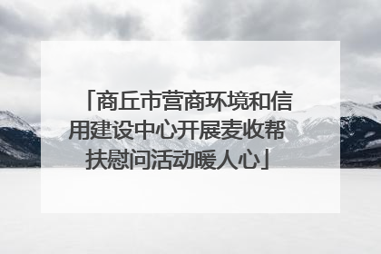 商丘市营商环境和信用建设中心开展麦收帮扶慰问活动暖人心