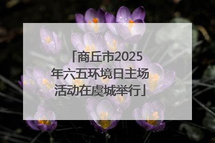 商丘市2025年六五环境日主场活动在虞城举行