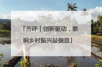 善评｜创新驱动，奏响乡村振兴最强音