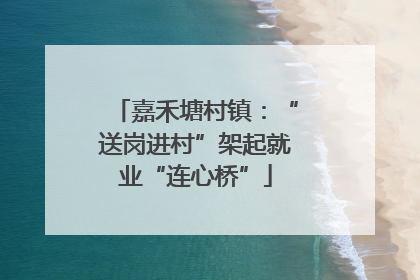 嘉禾塘村镇：“送岗进村”架起就业“连心桥”