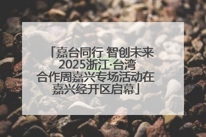 嘉台同行 智创未来 2025浙江·台湾合作周嘉兴专场活动在嘉兴经开区启幕