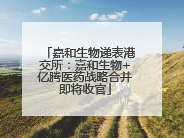 嘉和生物递表港交所：嘉和生物+亿腾医药战略合并即将收官