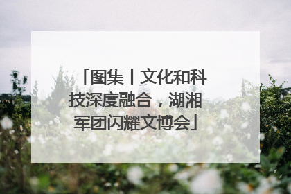 图集丨文化和科技深度融合，湖湘军团闪耀文博会