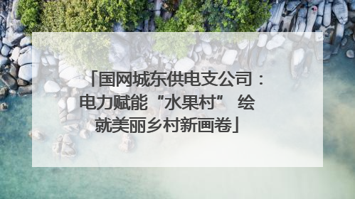 国网城东供电支公司：电力赋能“水果村” 绘就美丽乡村新画卷