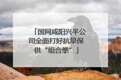 国网咸阳兴平公司全面打好抗旱保供“组合拳”