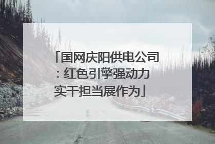 国网庆阳供电公司：红色引擎强动力 实干担当展作为