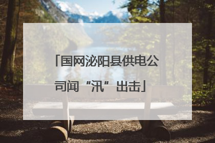 国网泌阳县供电公司闻“汛”出击