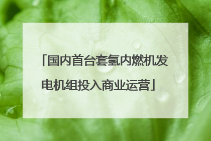 国内首台套氢内燃机发电机组投入商业运营