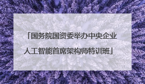 国务院国资委举办中央企业人工智能首席架构师特训班