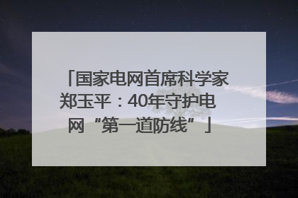 国家电网首席科学家郑玉平：40年守护电网“第一道防线”
