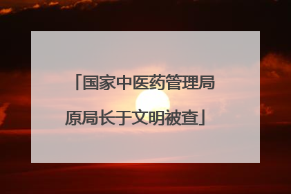 国家中医药管理局原局长于文明被查