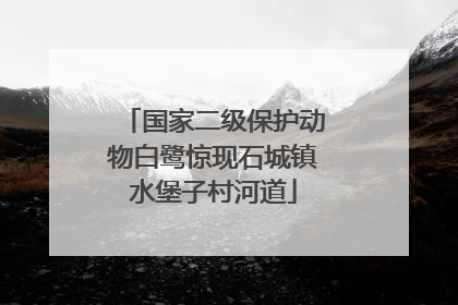 国家二级保护动物白鹭惊现石城镇水堡子村河道