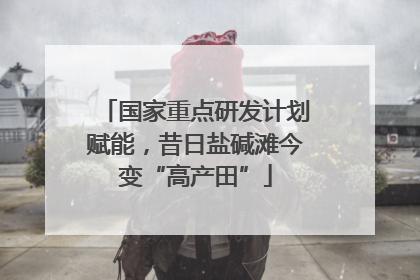 国家重点研发计划赋能，昔日盐碱滩今变“高产田”