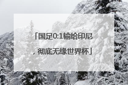 国足0:1输给印尼，彻底无缘世界杯