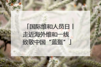 国际维和人员日丨走近海外维和一线 致敬中国“蓝盔”