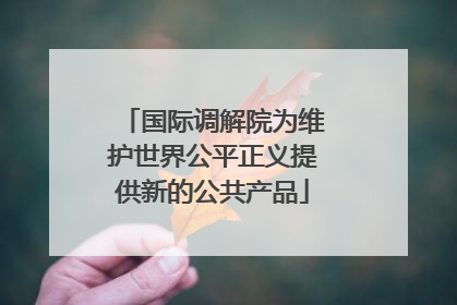国际调解院为维护世界公平正义提供新的公共产品