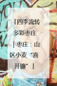 四季流转 多彩枣庄｜枣庄：山区小麦“喜开镰”
