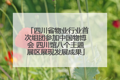 四川省物业行业首次组团参加中国物博会 四川馆八个主题展区展现发展成果