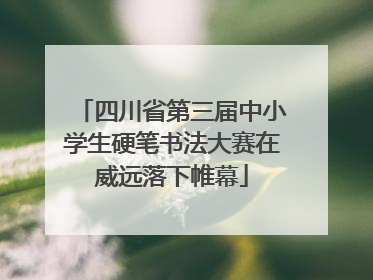 四川省第三届中小学生硬笔书法大赛在威远落下帷幕
