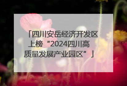 四川安岳经济开发区上榜“2024四川高质量发展产业园区”