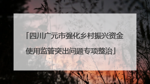 四川广元市强化乡村振兴资金使用监管突出问题专项整治