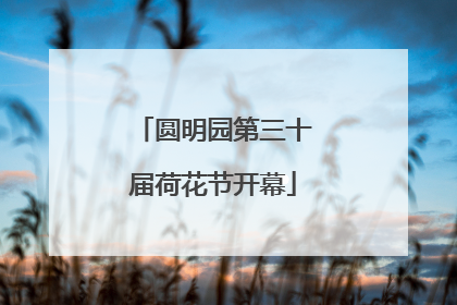 圆明园第三十届荷花节开幕