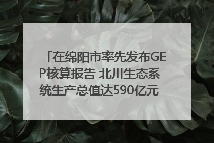 在绵阳市率先发布GEP核算报告 北川生态系统生产总值达590亿元｜新闻发布最前线