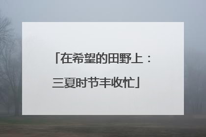 在希望的田野上：三夏时节丰收忙