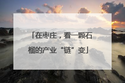 在枣庄，看一颗石榴的产业“链”变