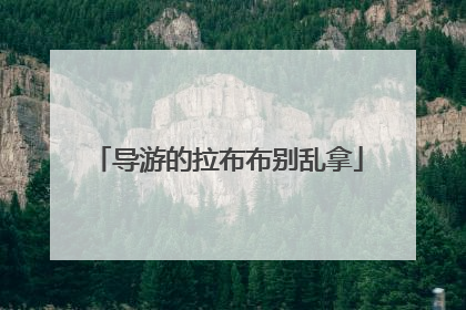 导游的拉布布别乱拿