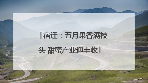 宿迁：五月果香满枝头 甜蜜产业迎丰收