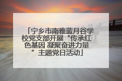 宁乡市南雅蓝月谷学校党支部开展“传承红色基因 凝聚奋进力量”主题党日活动