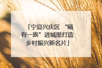 宁夏兴庆区 “曦有一族”进城里打造乡村振兴新名片