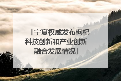 宁夏权威发布枸杞科技创新和产业创新融合发展情况