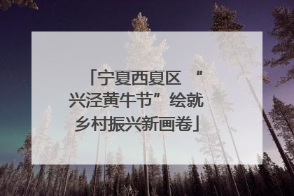 宁夏西夏区 “兴泾黄牛节”绘就乡村振兴新画卷