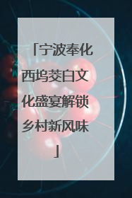 宁波奉化西坞茭白文化盛宴解锁乡村新风味