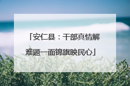 安仁县：干部真情解难题一面锦旗映民心